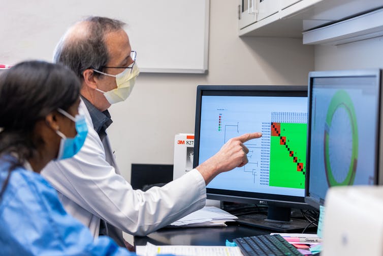 Masked woman and man, pointing at computer screen, with a map of genetic relationships