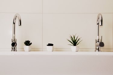 Potted Plants On Sink In Bathroom