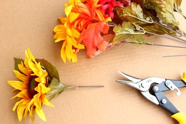 cut flowers