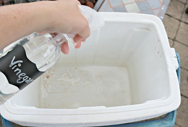 how to clean and deodorize a cooler