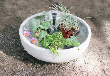 Fountain bubbling in container