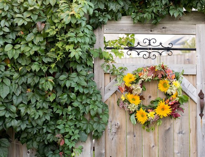 Fresh Flower Wreath