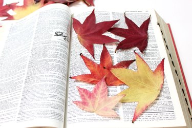 flatten leaves