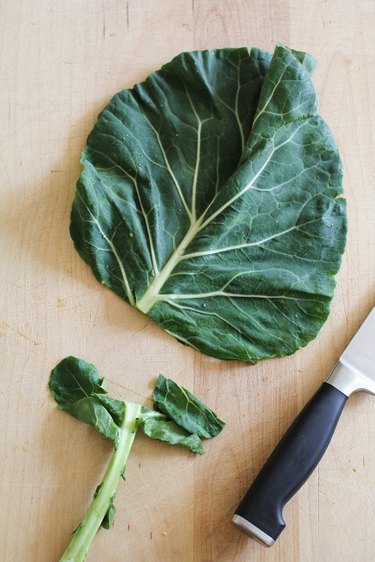 Collard leaf with stem chopped of at the base.