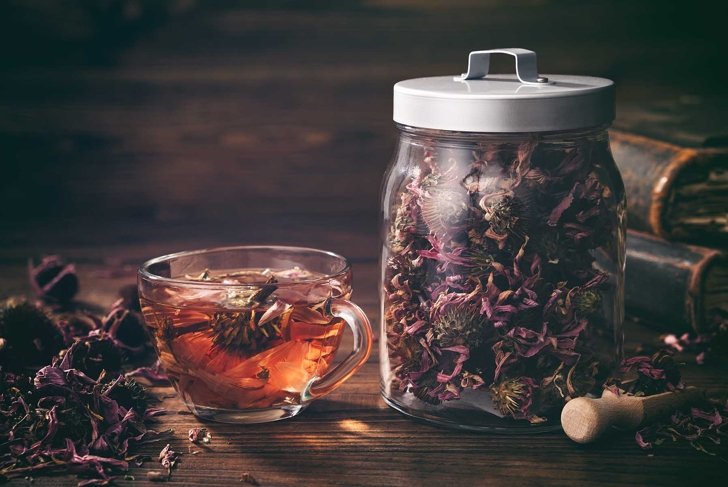 Cup of healthy echinacea tea, glass jar of dry coneflower herbs and old books on table.