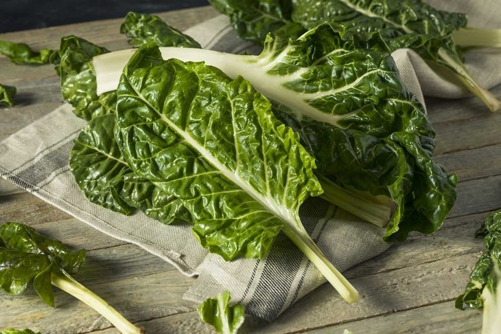 Raw Organic Green Swiss Chard Ready to Cook